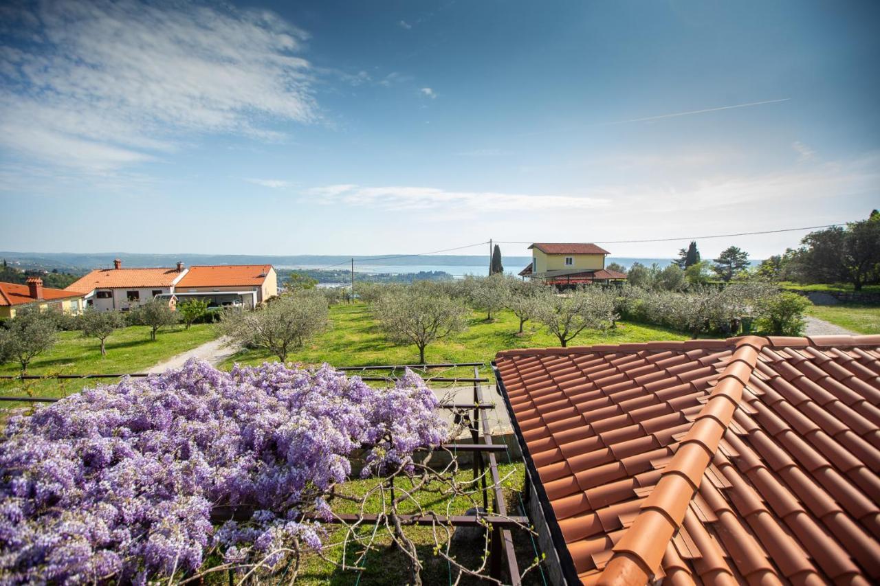 Apartments And Rooms Jeselnik Portoroz Exterior foto